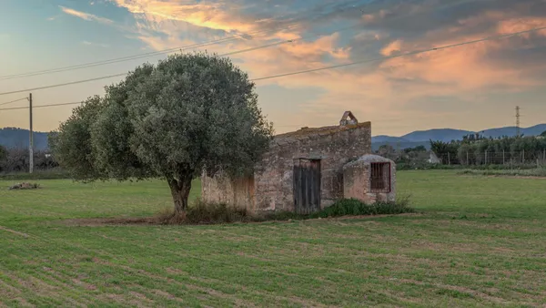 Old stone farmhouse and tree at sunset in Santa Oliva, Catalonia, Spain